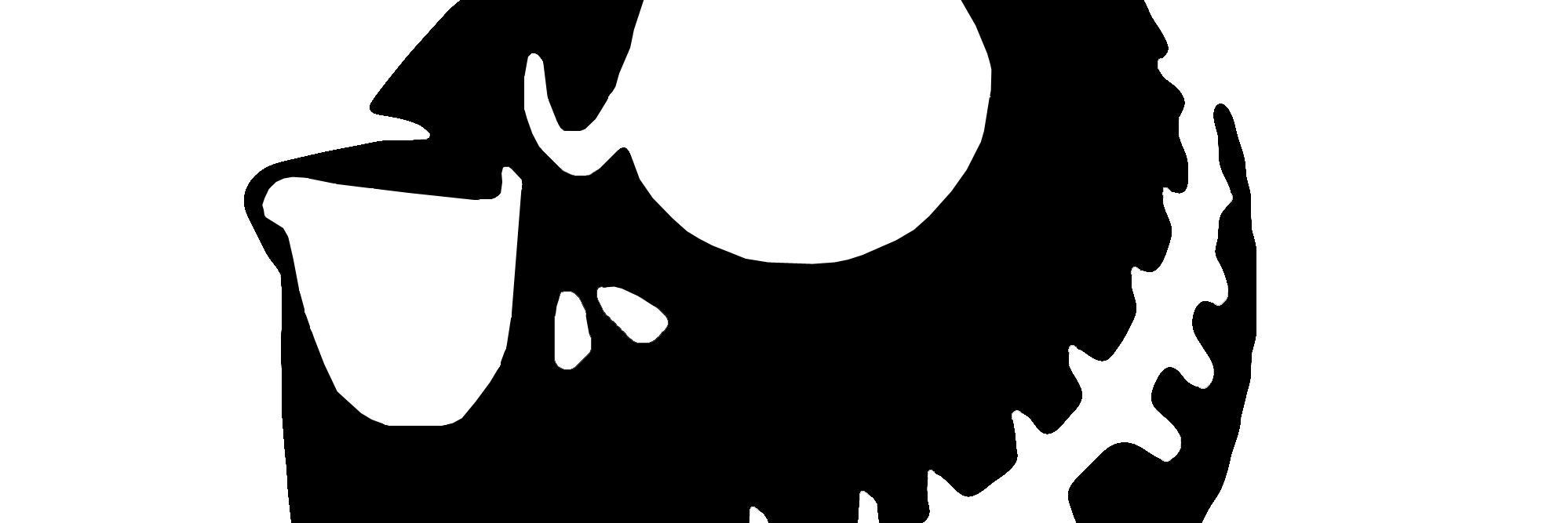 raytek_net's profile banner image