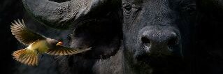 dududreadz's profile banner image