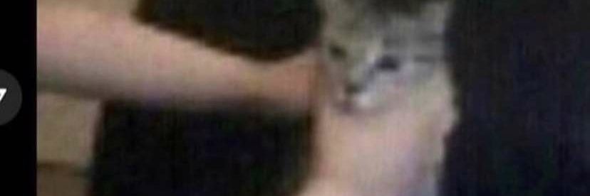 JuneLikesTunes's profile banner image