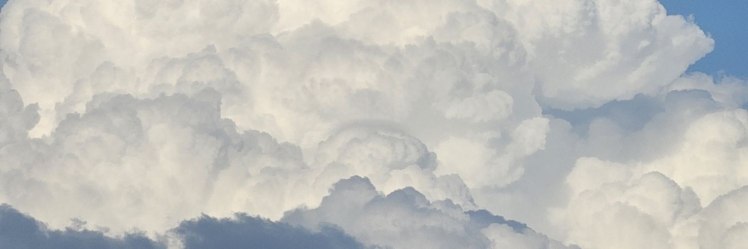 AlejandroCMiron's profile banner image