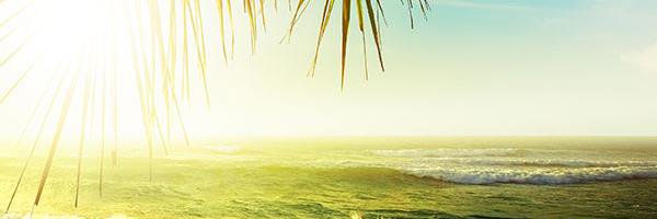 SwimwearShack's profile banner image