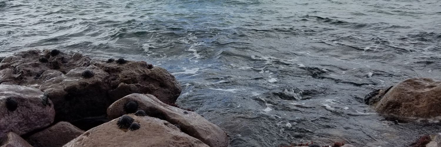 Dr. Jaclyn Torkelson banner