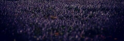 5o5_x's profile banner image