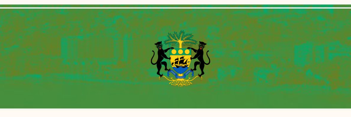 Marceau MALEKOU banner
