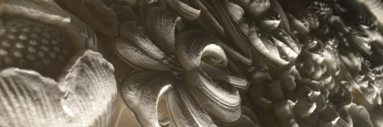 Caitlin Welsh banner