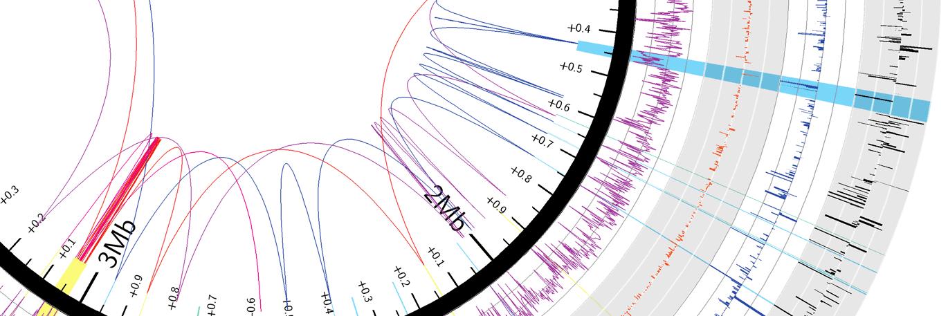 Hypothesis Media banner
