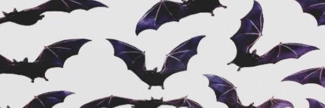 Heather banner