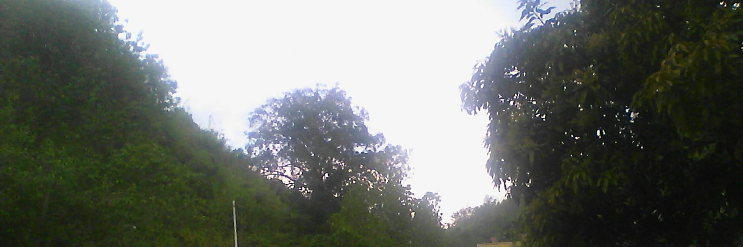 adilduldildul's profile banner image