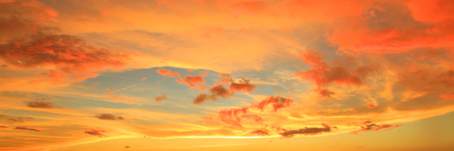 Şule Erdoğan banner