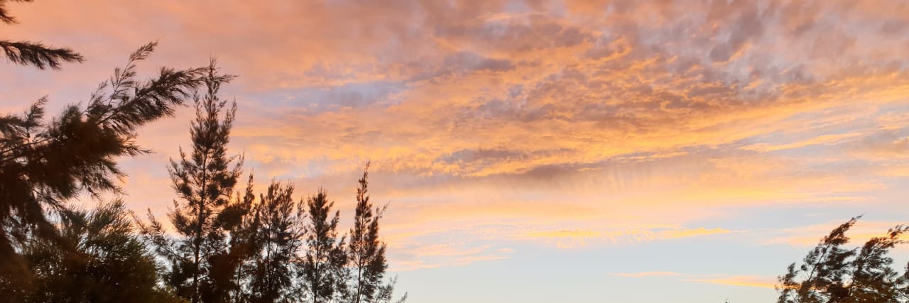 ღмσяєღ banner