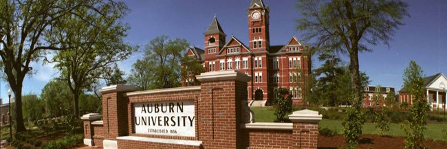 auburnmatt64's profile banner image