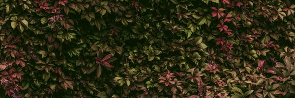 Aejulent Profile Banner