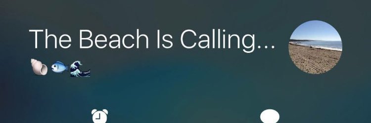 bev baker Baertich banner