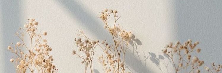 indiebxbe's profile banner image