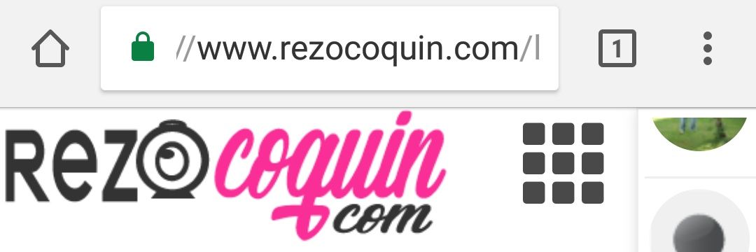 rezocoquin's profile banner image