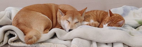 enomoto_system2 Profile Banner