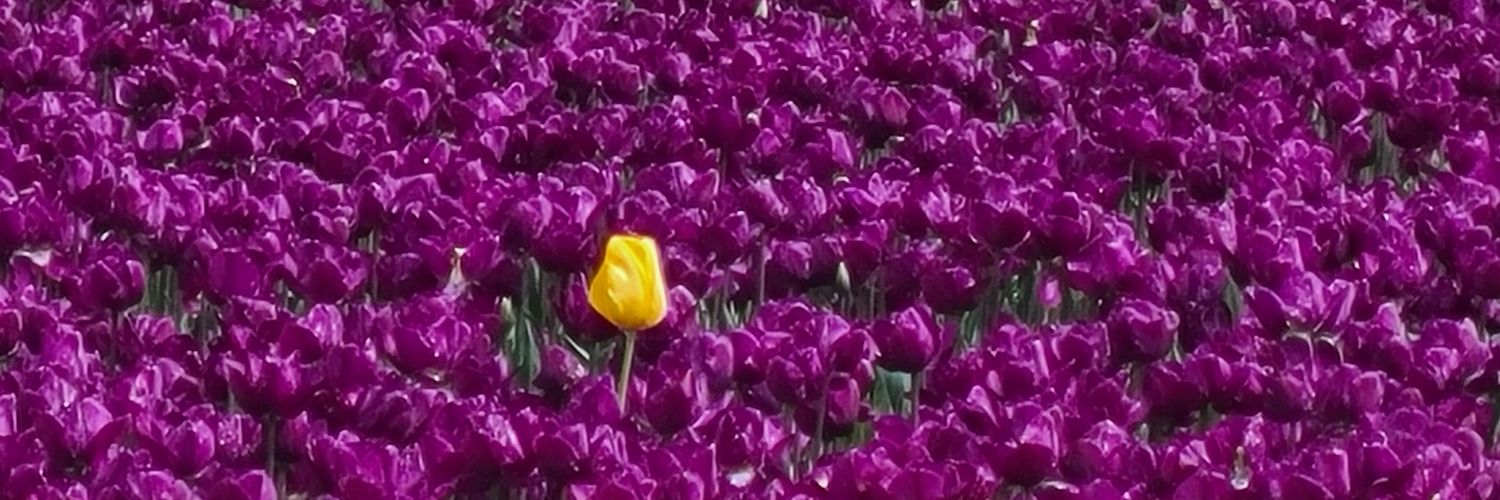 andrewphenry's profile banner image