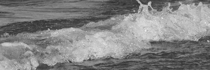 🖤 banner