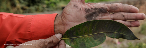 carboncopyinfo Profile Banner