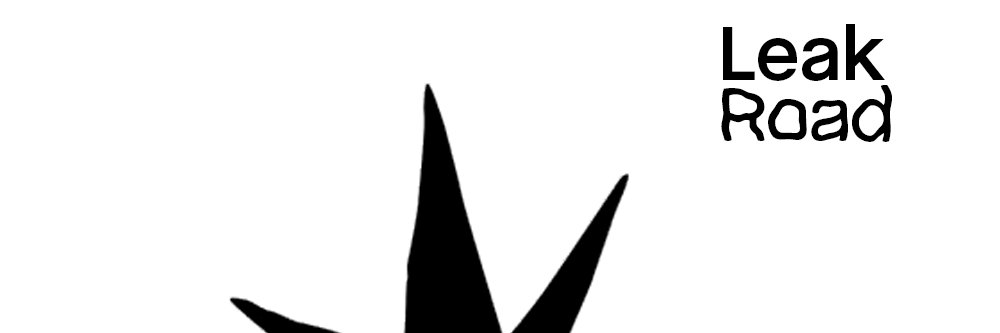 Leakroad banner