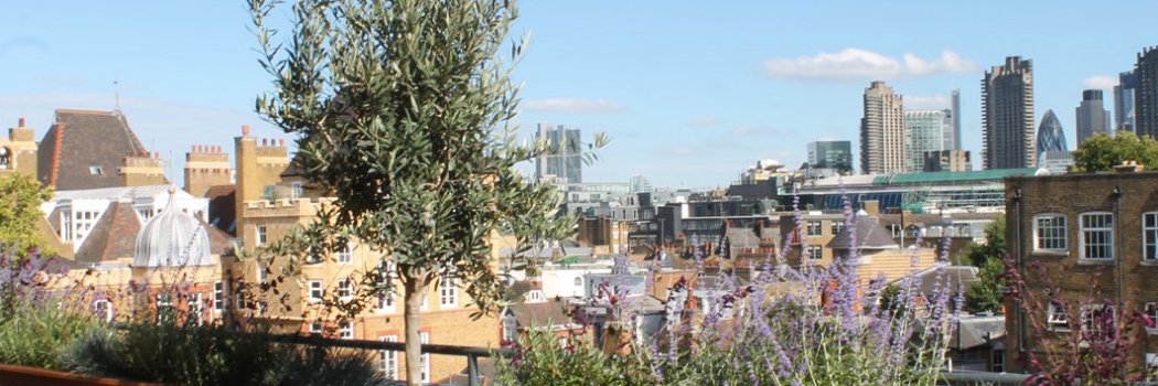 Gregory Wellman banner