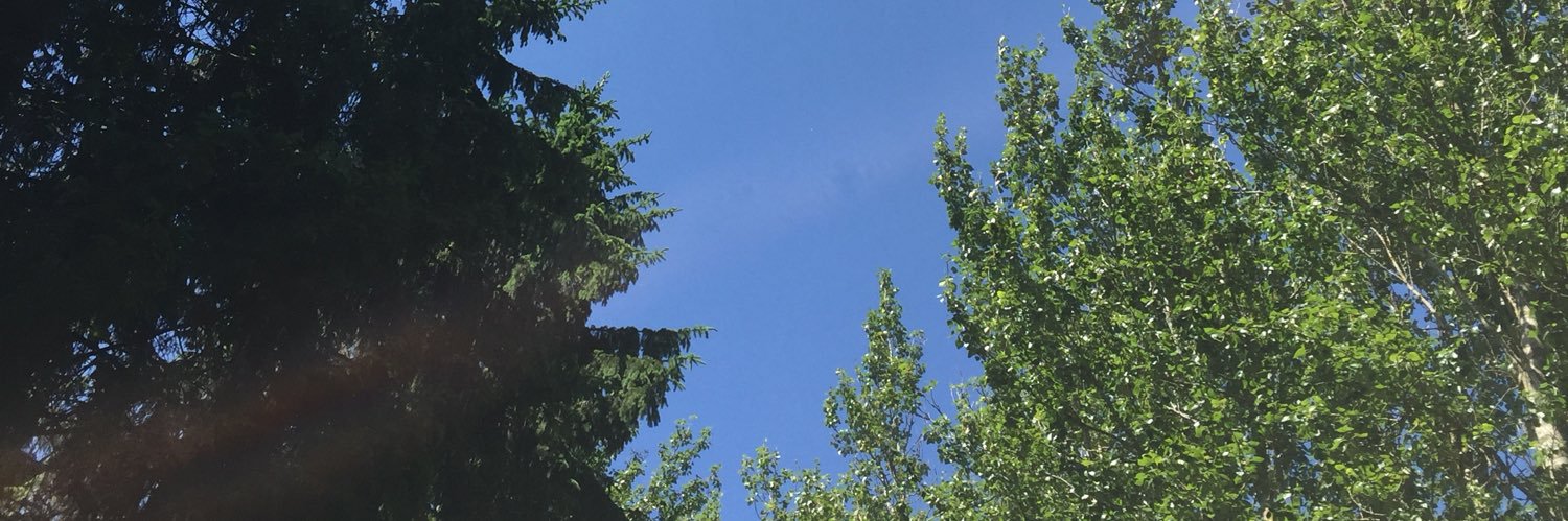 Katy Shorten banner