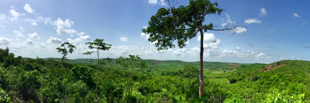 Lennard Kolff banner