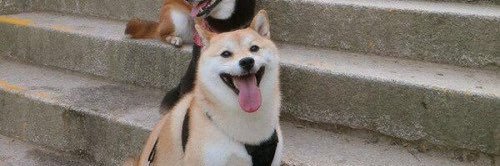 POSITIVITY_6's profile banner image