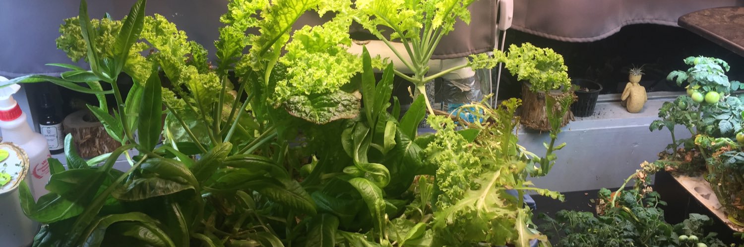 904Gardener's profile banner image