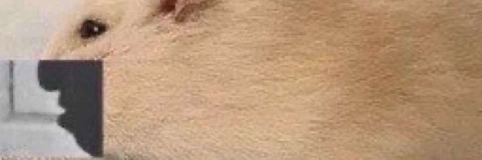 eviljuj's profile banner image
