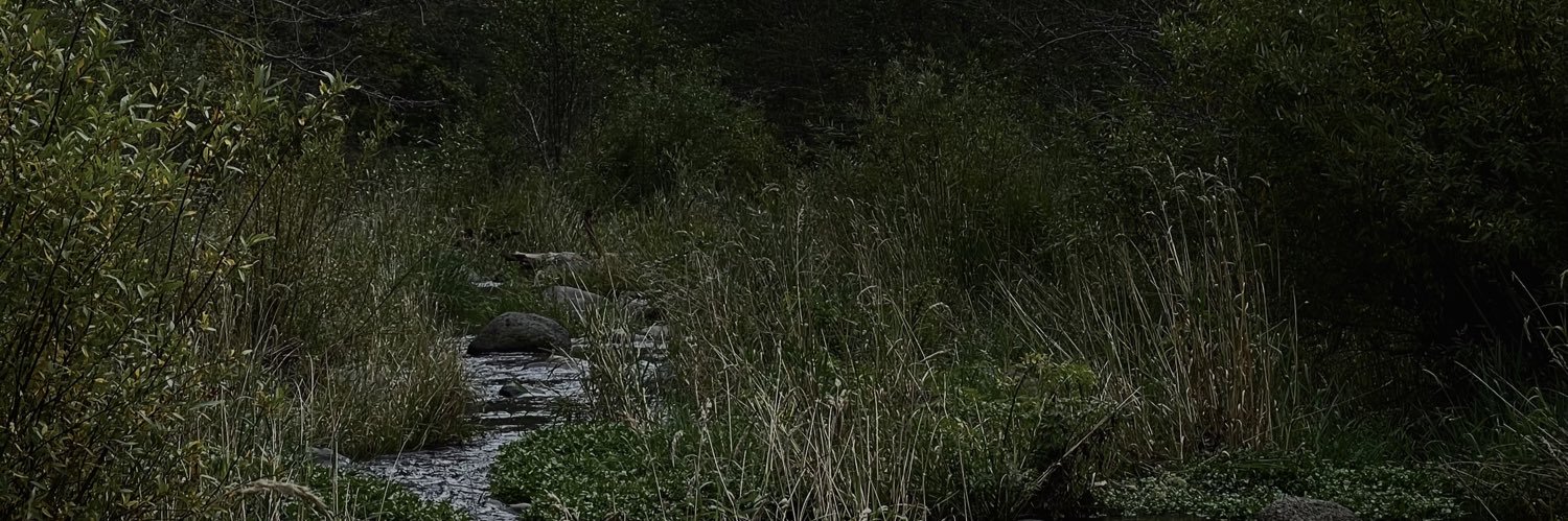 NoelleJohnsonnn's profile banner image