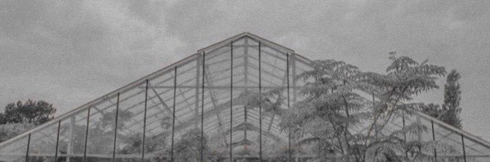 𝗥𝗘𝗜𝗞𝗢 banner