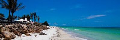 donlterry's profile banner image