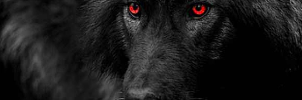 sinanayazaga's profile banner image