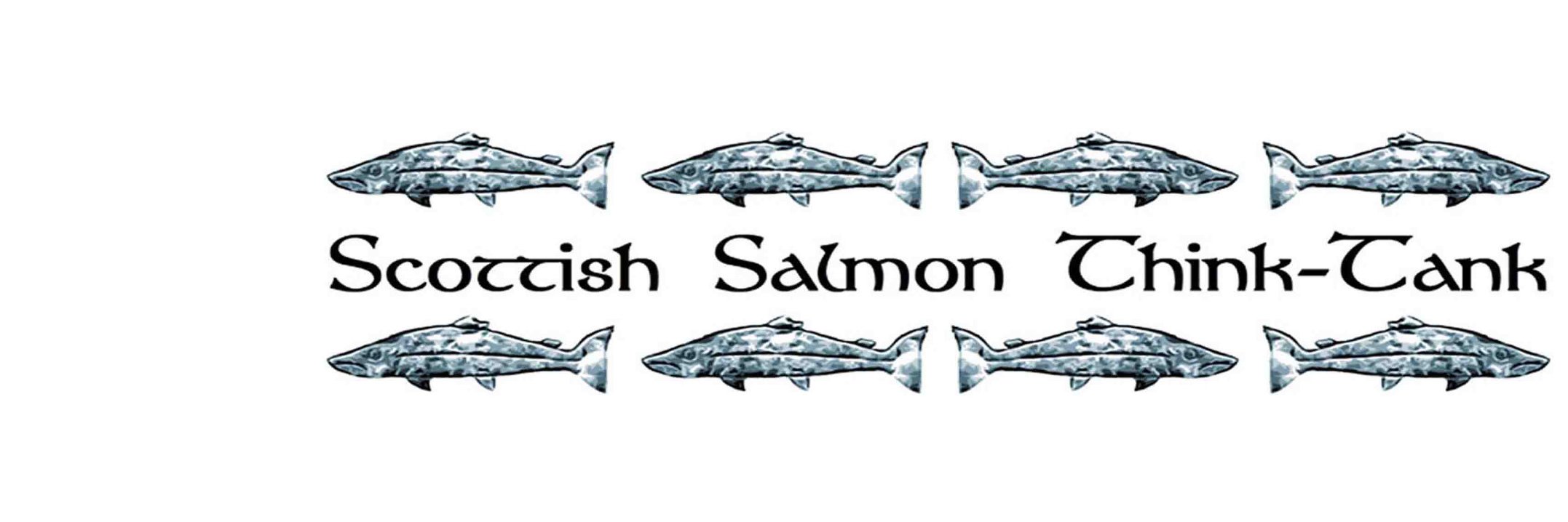 SST-T banner