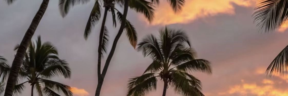 louannaphore's profile banner image