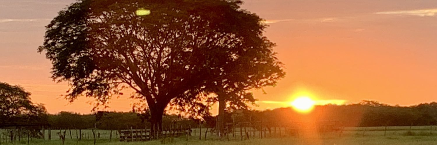 jrojasperez's profile banner image