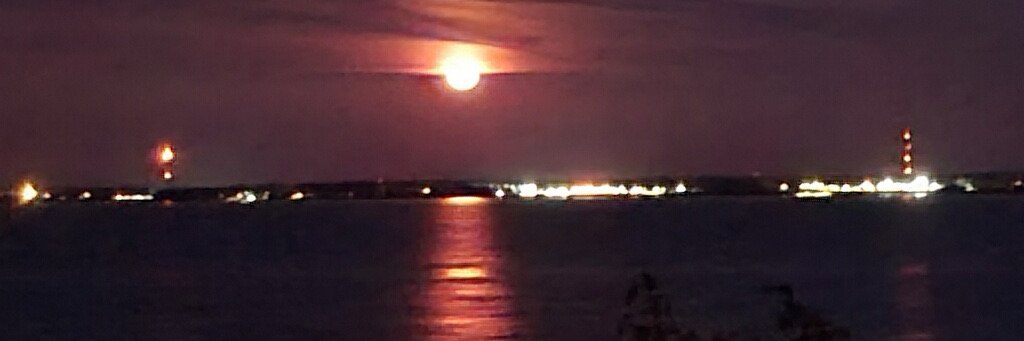 Theresa Greenfield banner