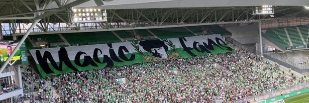 Elsa banner