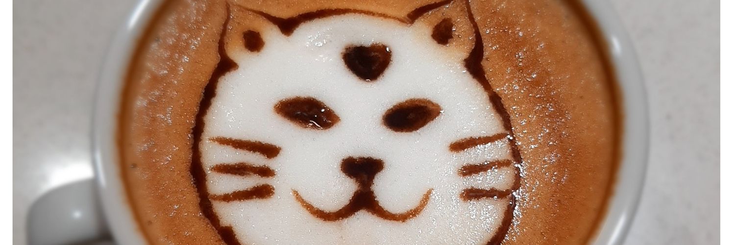 viilgry's profile banner image