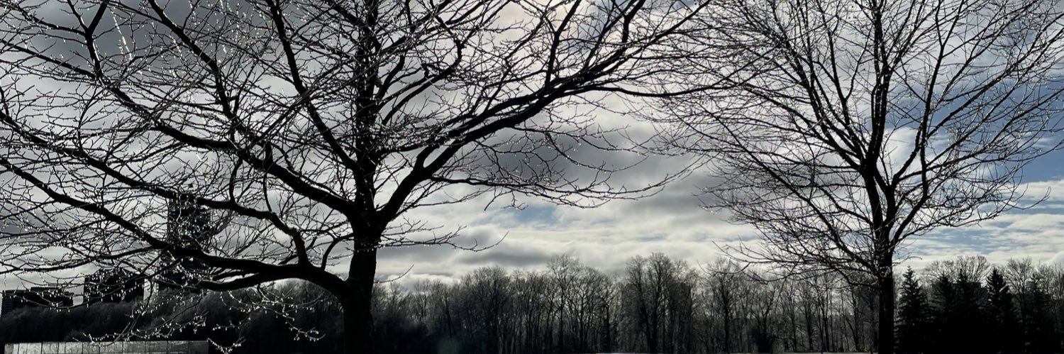 TwinsinMaple's profile banner image