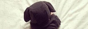 Shaa_Aidaa's profile banner image