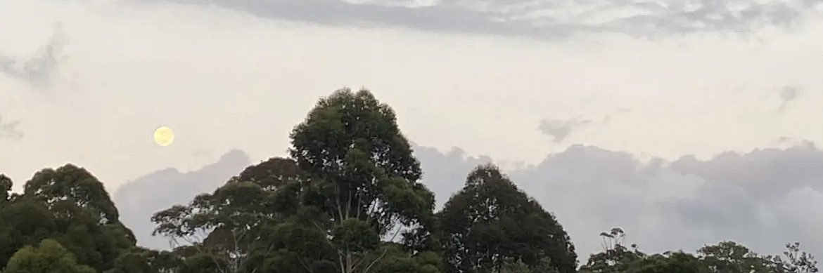 blueodonohue's profile banner image