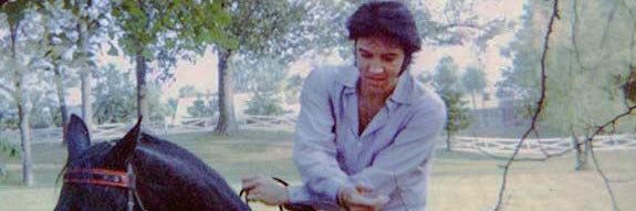 Always dreamin’ … banner