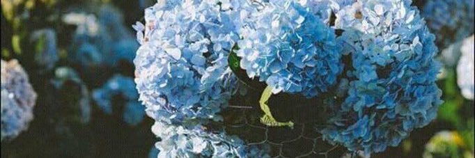 roof_hm's profile banner image