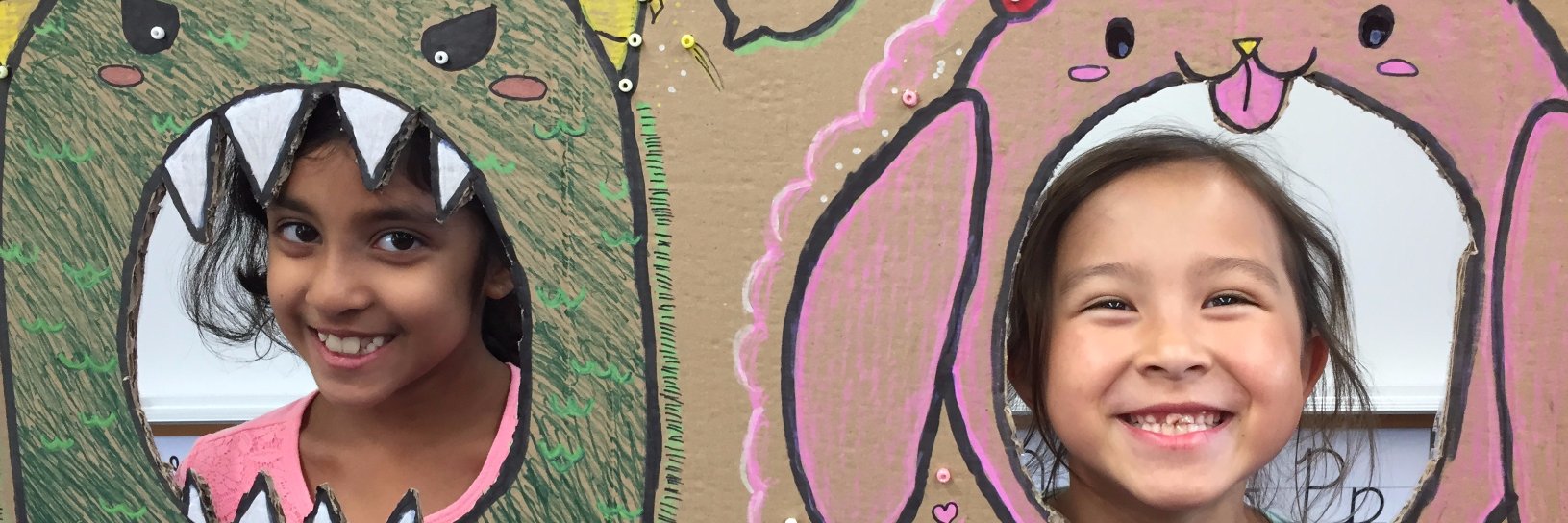 OWS Summer Program banner