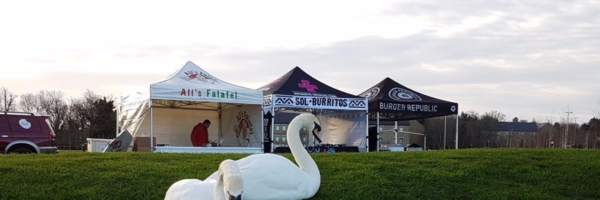 Sol_Burrito's profile banner image