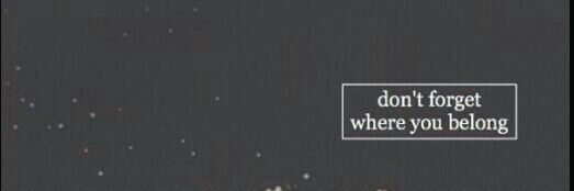 Lyseria banner