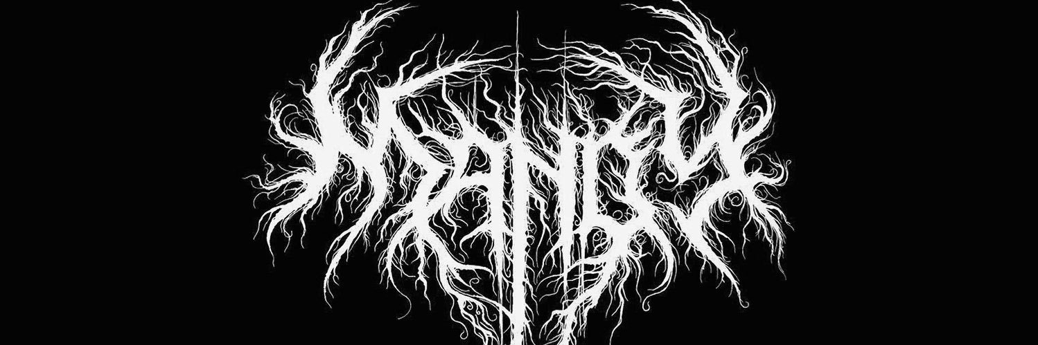 shnerfersure's profile banner image