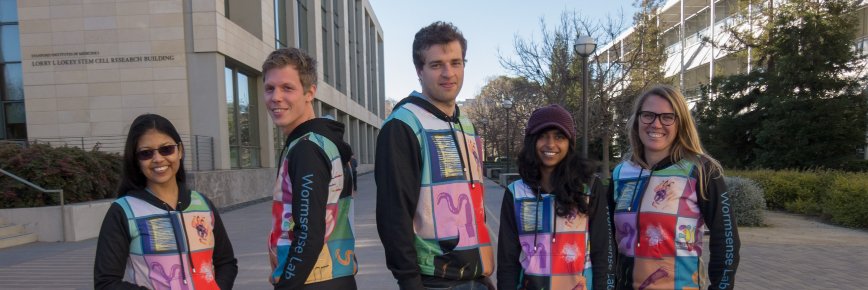 WormSense Lab banner